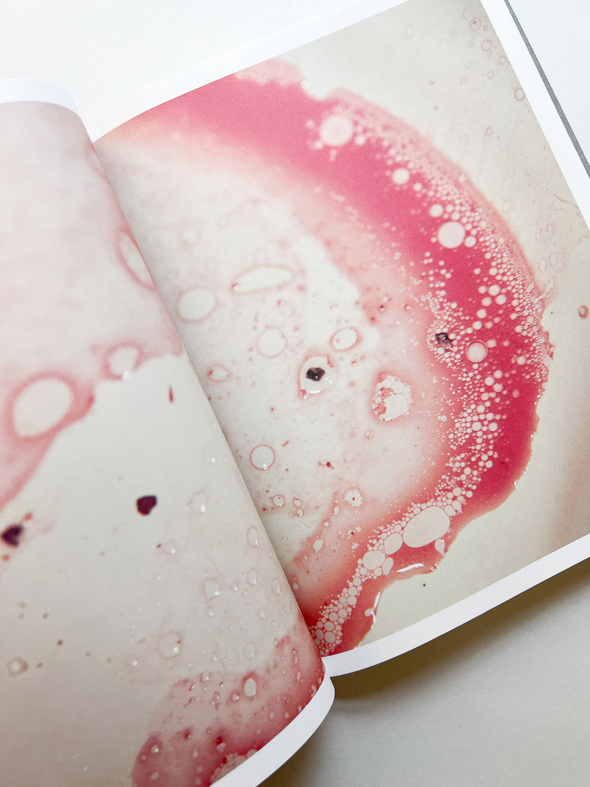 M/E / Rinko Kawauchi