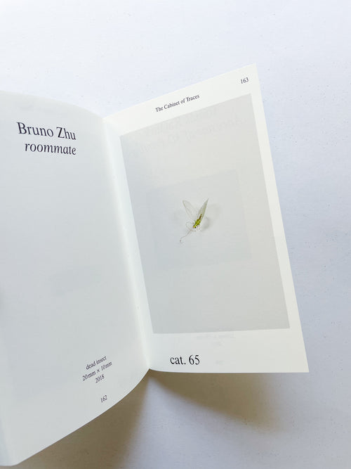 THE CABINET OF TRACES