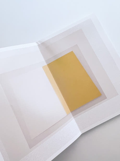 Common Face / Shusaku Yoshikawa