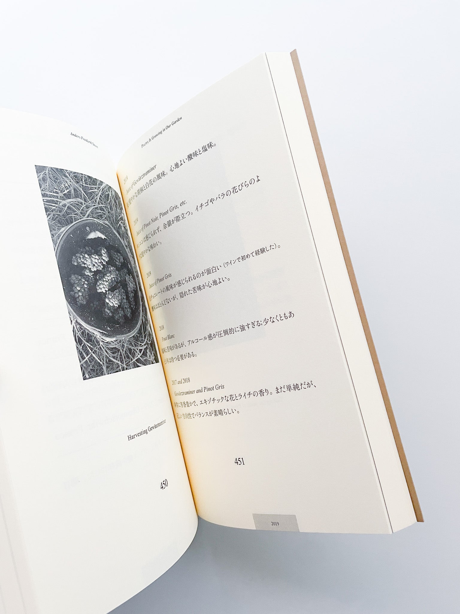 POETRY IS GROWING IN OUR GARDEN / Anders Frederik Steen [JAPANESE