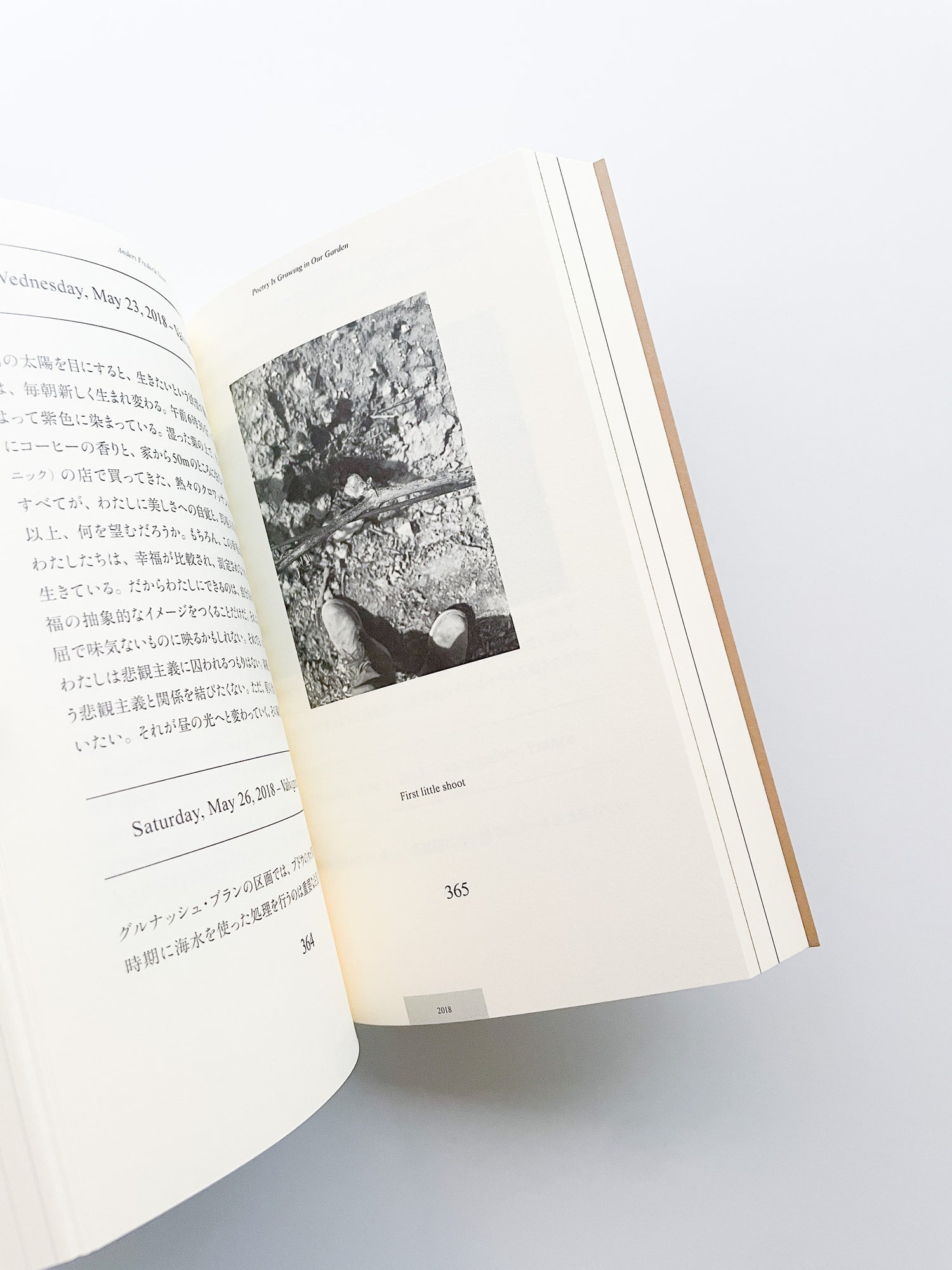 POETRY IS GROWING IN OUR GARDEN / Anders Frederik Steen [JAPANESE EDITION]