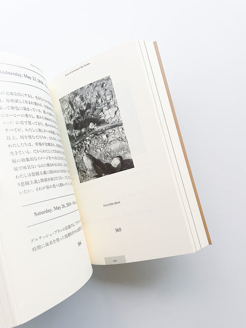 POETRY IS GROWING IN OUR GARDEN / Anders Frederik Steen [JAPANESE EDITION]