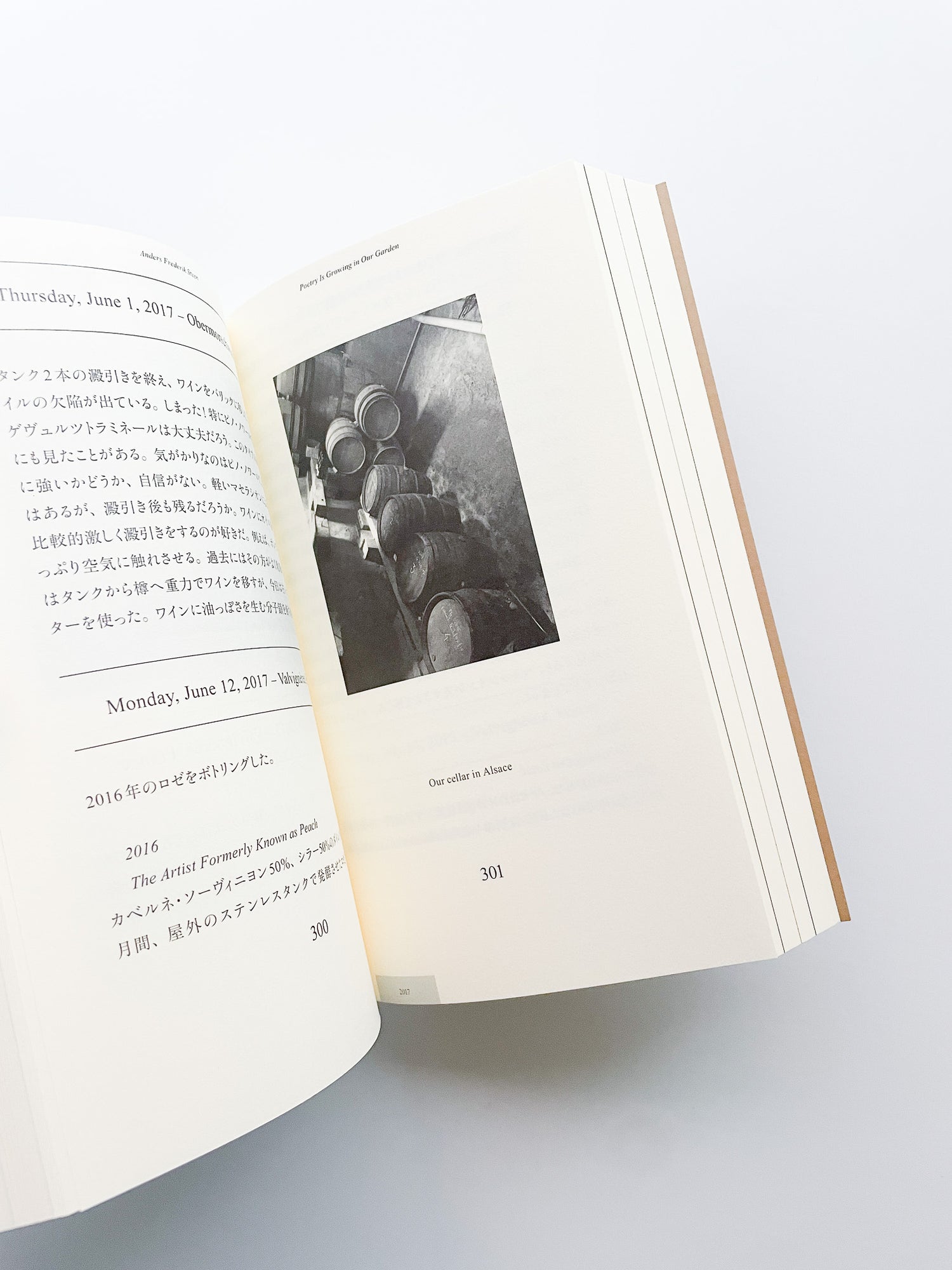 POETRY IS GROWING IN OUR GARDEN / Anders Frederik Steen [JAPANESE EDITION]