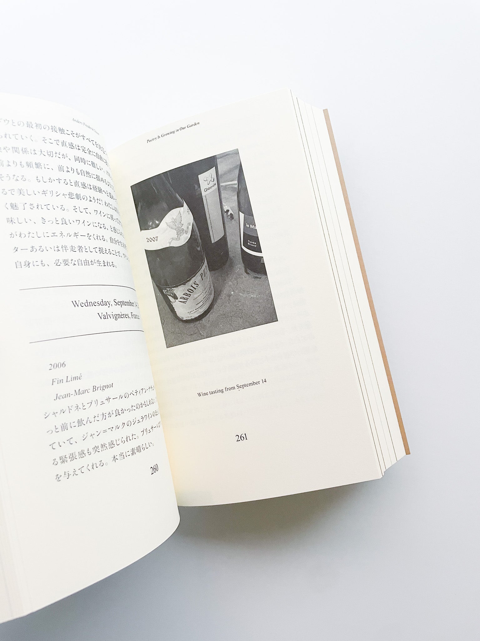 POETRY IS GROWING IN OUR GARDEN / Anders Frederik Steen [JAPANESE
