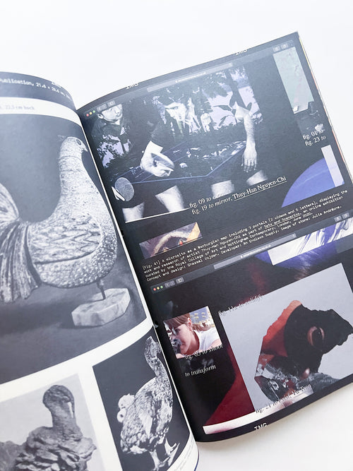 Revue Faire n°53 — Graphic Designers as Iconographers