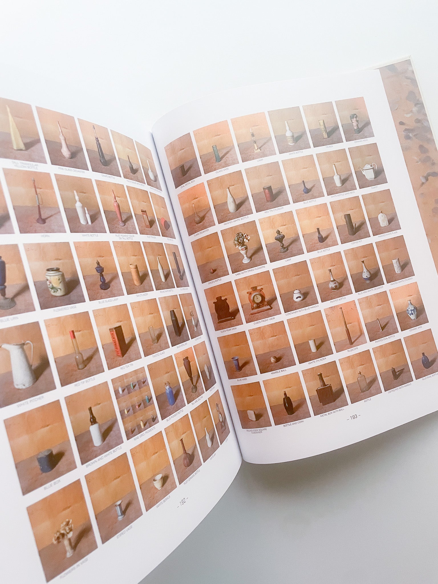 MORANDI'S OBJECTS. THE COMPLETE ARCHIVE OF CASA MORANDI / Joel