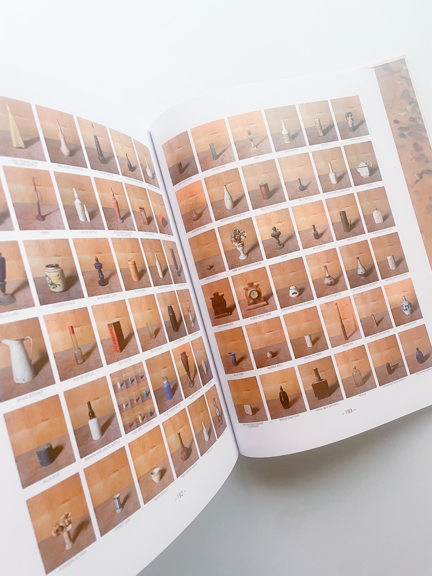 MORANDI'S OBJECTS. THE COMPLETE ARCHIVE OF CASA MORANDI / Joel