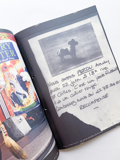 Revue Faire n°53 — Graphic Designers as Iconographers