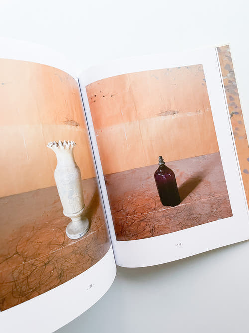 MORANDI'S OBJECTS. THE COMPLETE ARCHIVE OF CASA MORANDI / Joel Meyerowitz