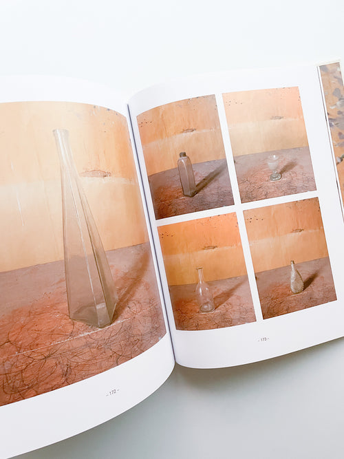 MORANDI'S OBJECTS. THE COMPLETE ARCHIVE OF CASA MORANDI / Joel Meyerowitz