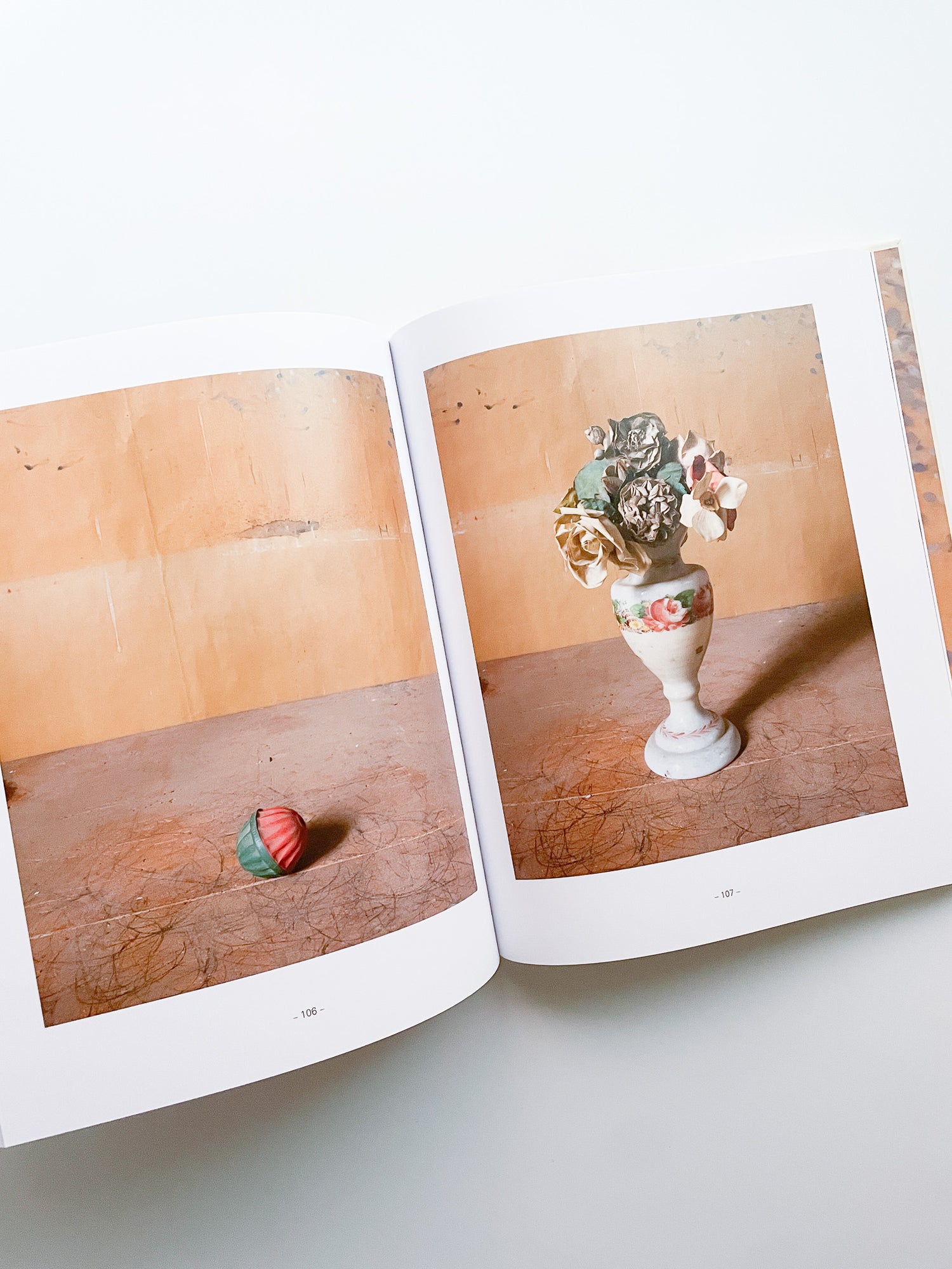 MORANDI'S OBJECTS. THE COMPLETE ARCHIVE OF CASA MORANDI / Joel