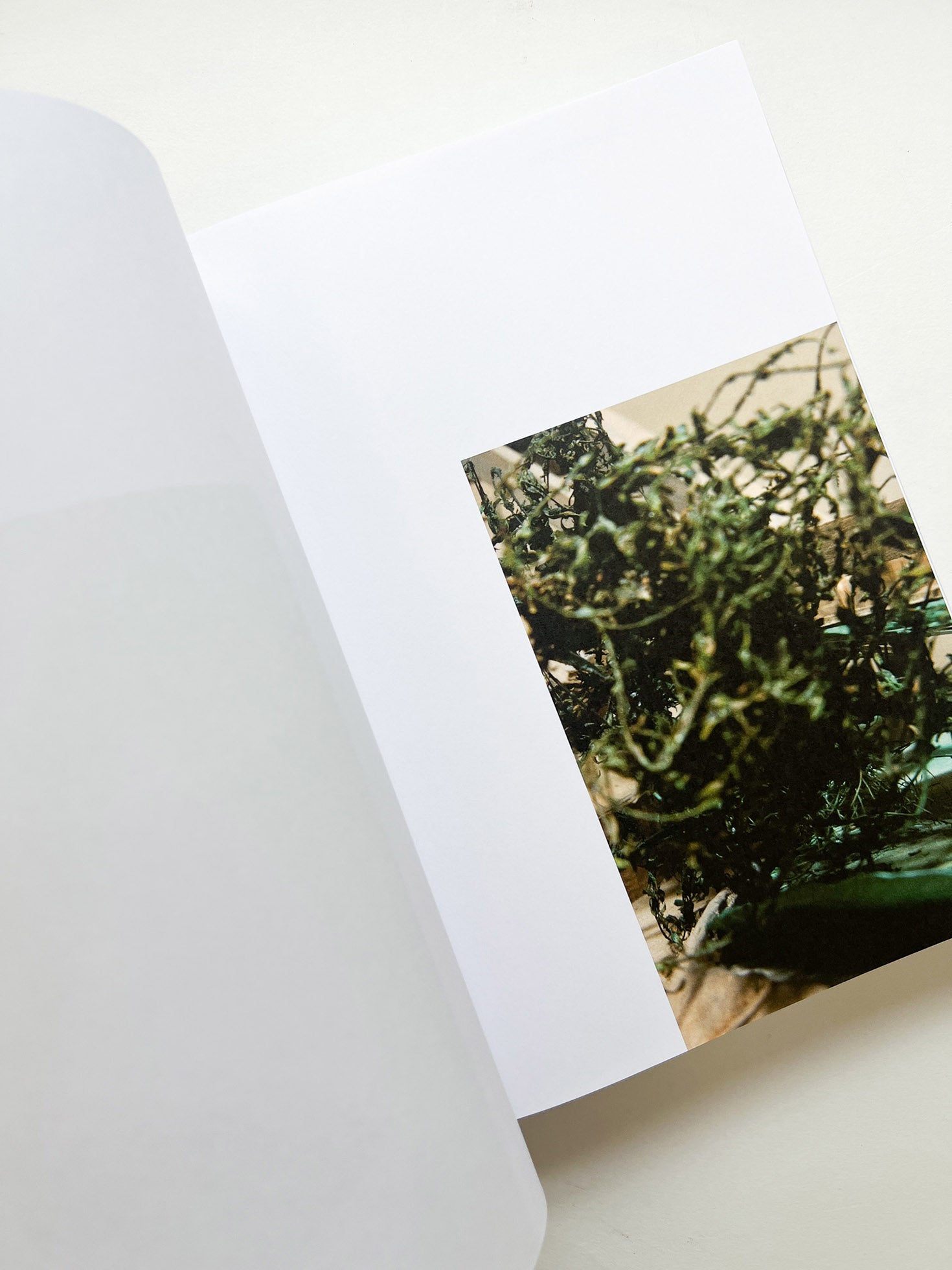 House of Card / Thomas Demand