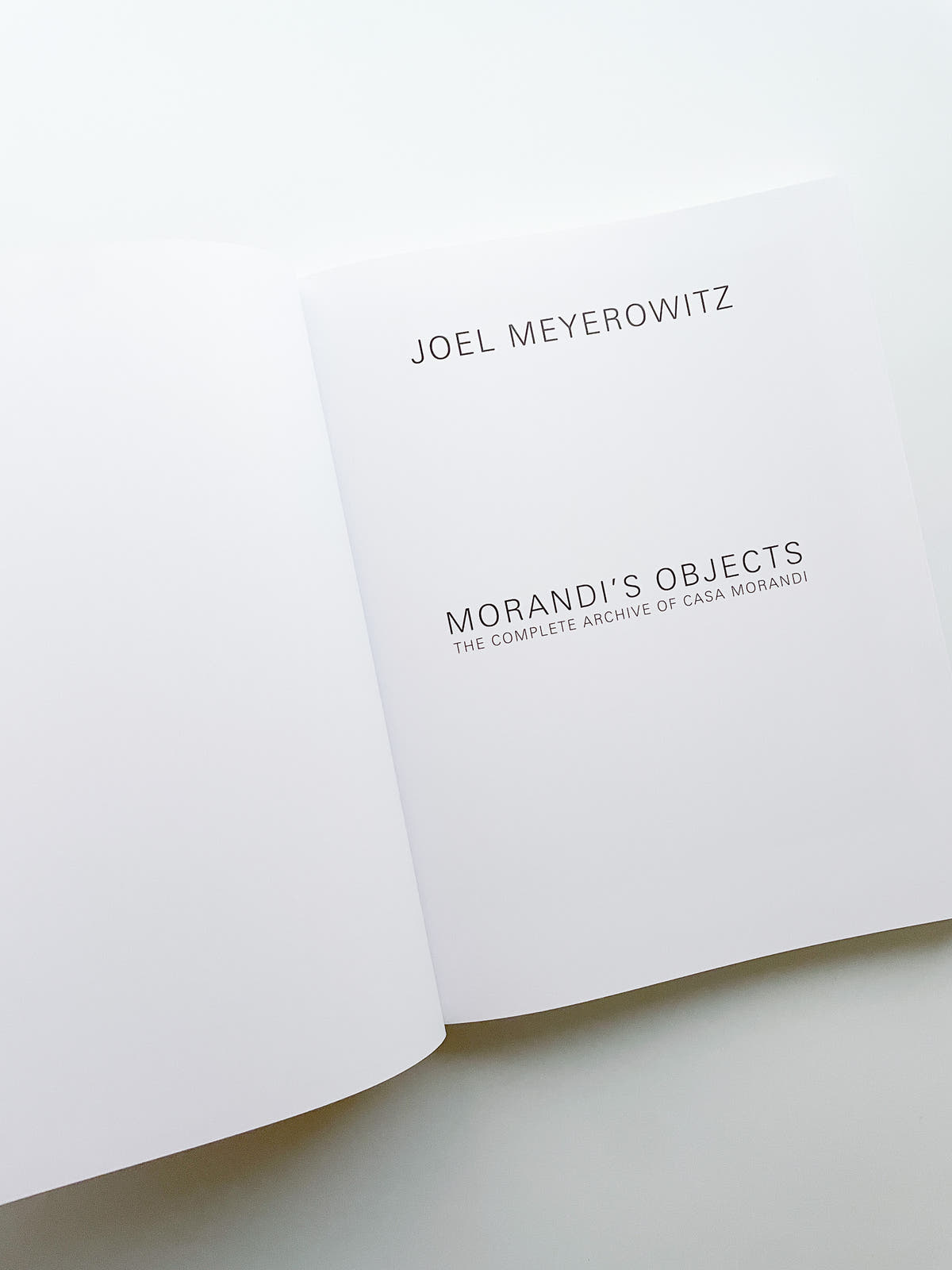 MORANDI'S OBJECTS. THE COMPLETE ARCHIVE OF CASA MORANDI / Joel Meyerowitz
