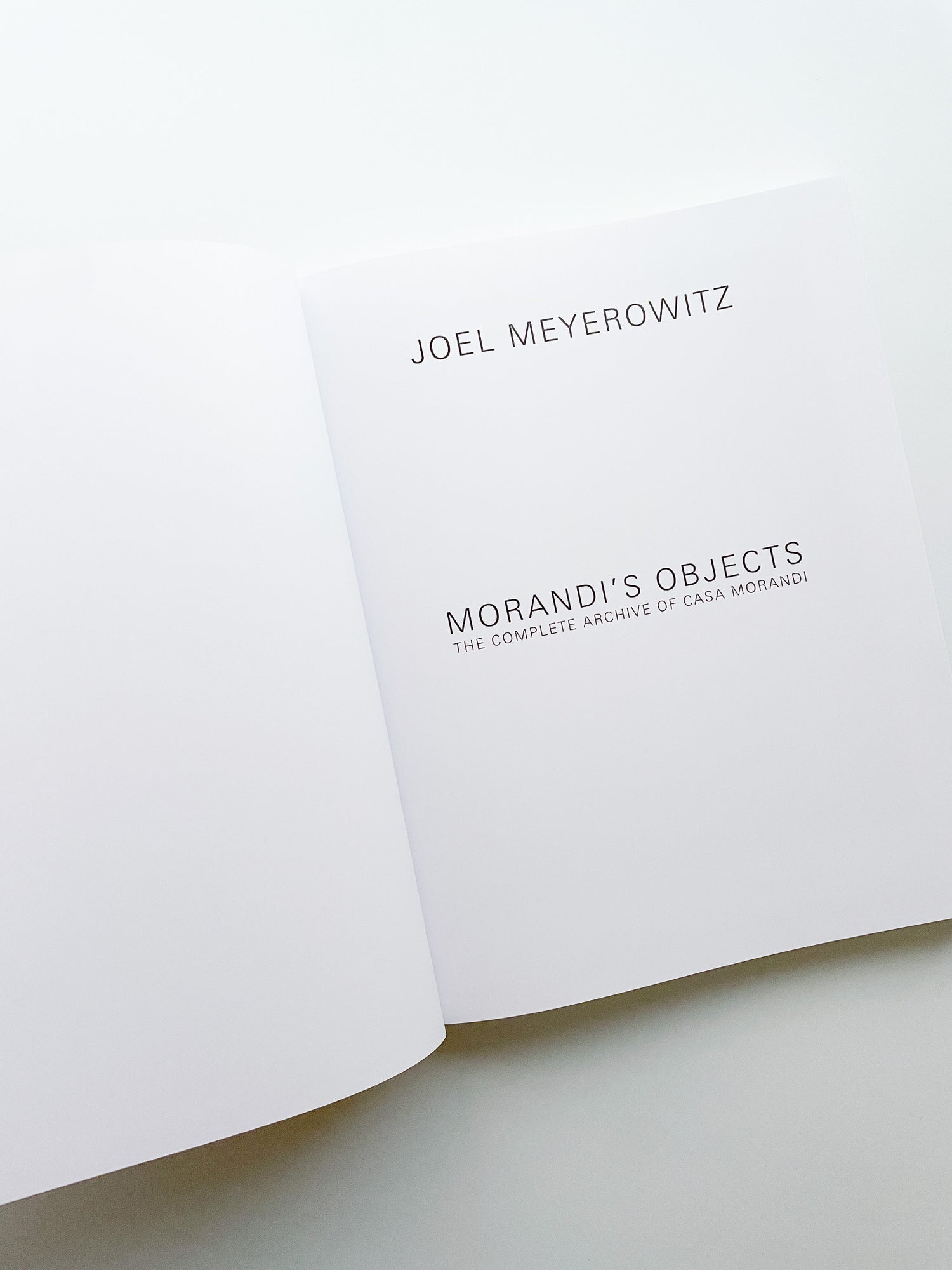 MORANDI'S OBJECTS. THE COMPLETE ARCHIVE OF CASA MORANDI / Joel