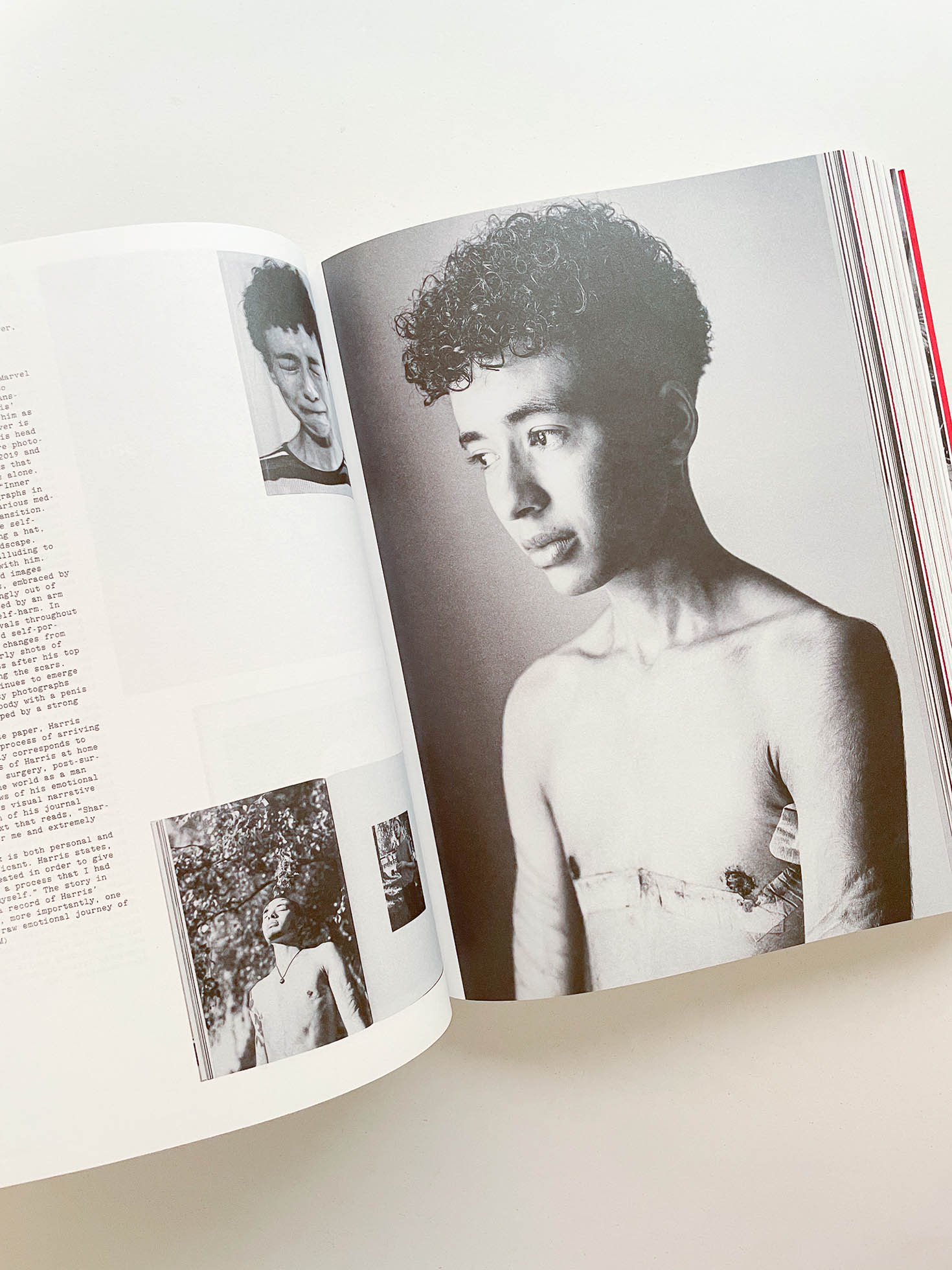 Flashpoint! Protest Photography in Print, 1950-Present