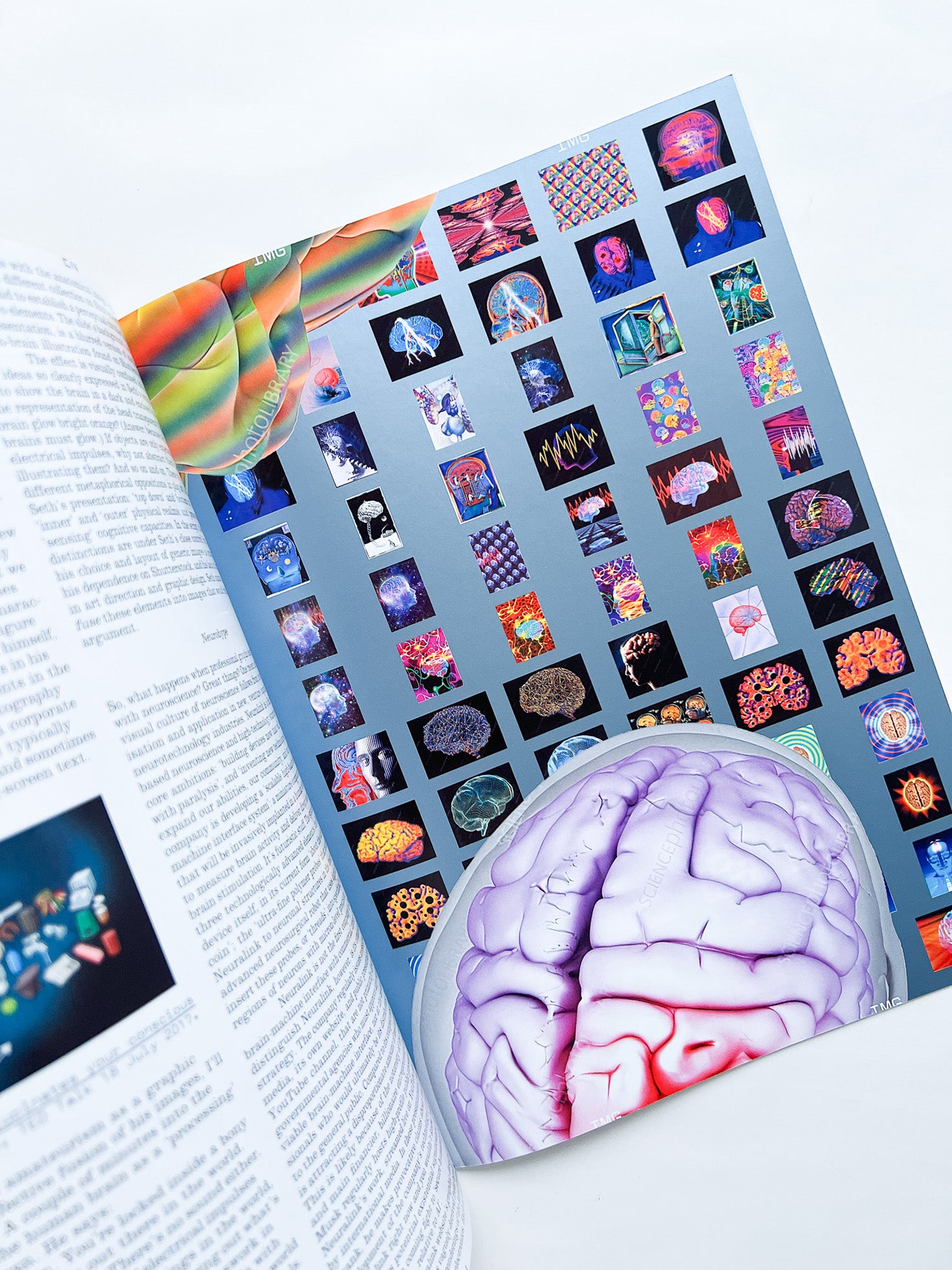 Revue Faire n°44 — A conundrum: the visual communication of neuroscien ...