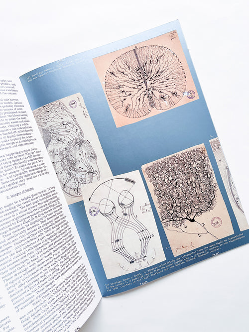 Revue Faire n°44 — A conundrum: the visual communication of neuroscience