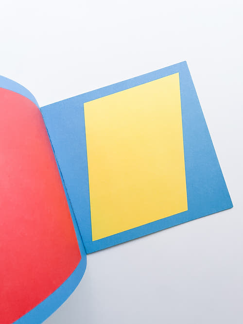 GEOMETRIC FIGURES & COLOR / Sol LeWitt