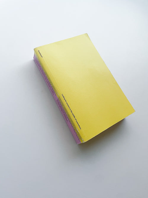 Questions? Looking for answers in the middle of somewhere / David Bennewith, Sereina Rothenberger