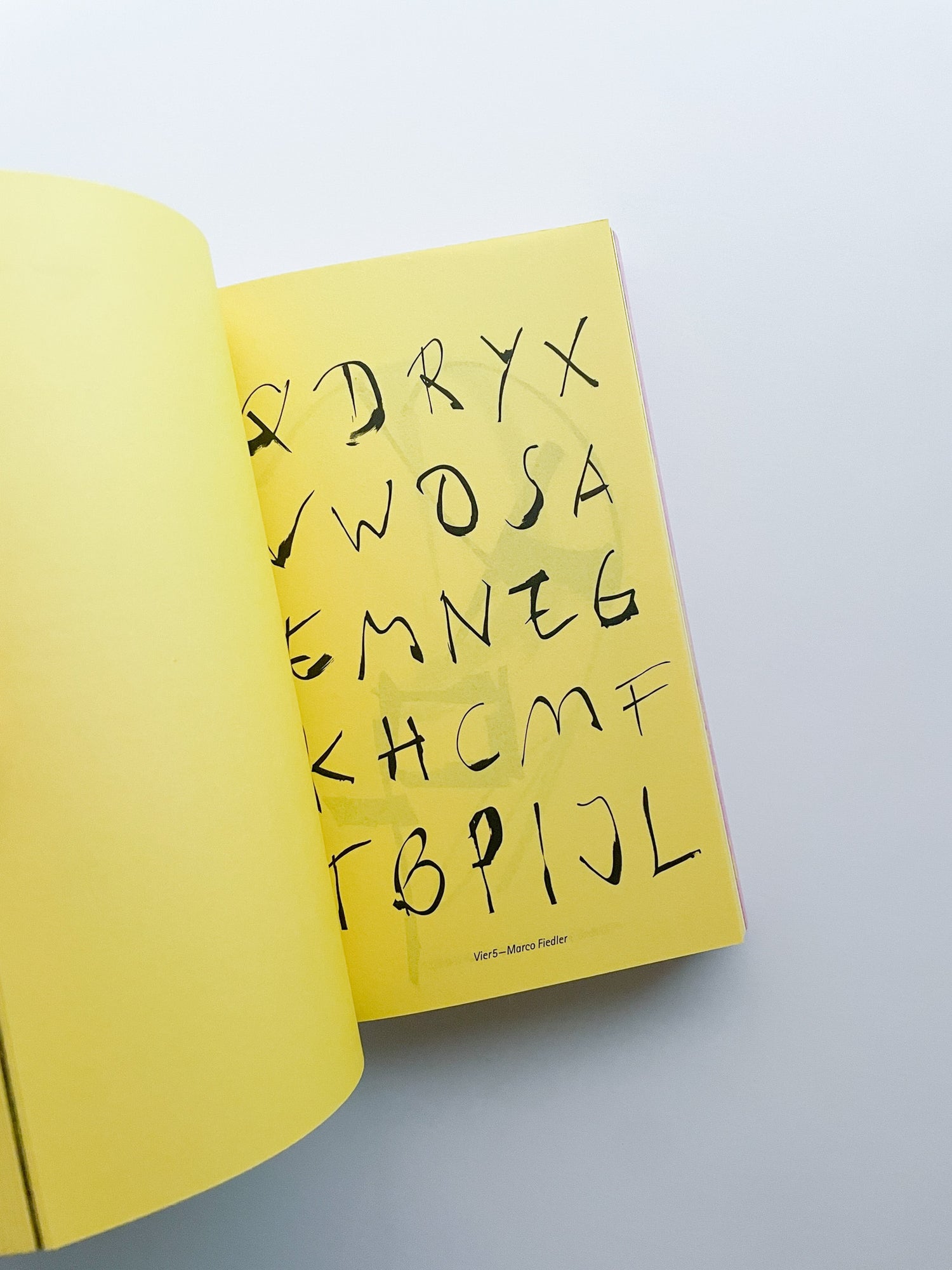 Questions? Looking for answers in the middle of somewhere / David Bennewith, Sereina Rothenberger