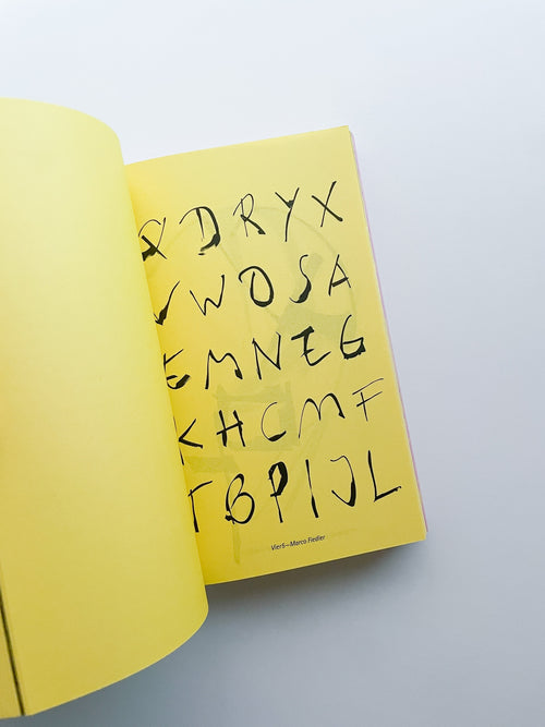 Questions? Looking for answers in the middle of somewhere / David Bennewith, Sereina Rothenberger