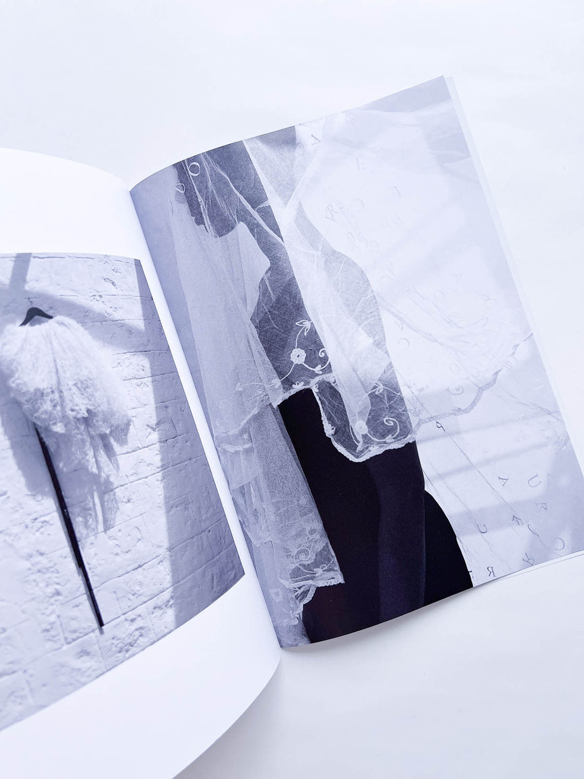 STUDY MAGAZINE VOLUME 12