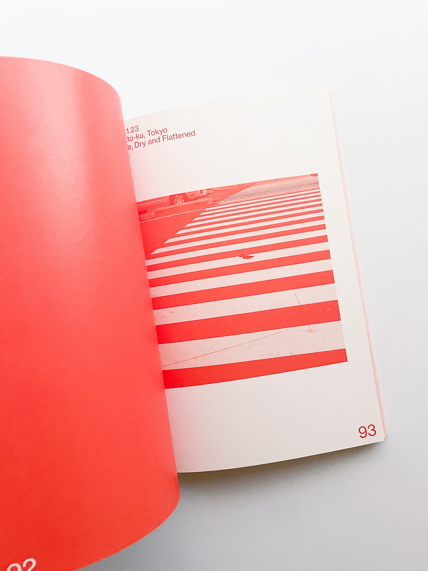 MAGNETIC DRESS / PUGMENT