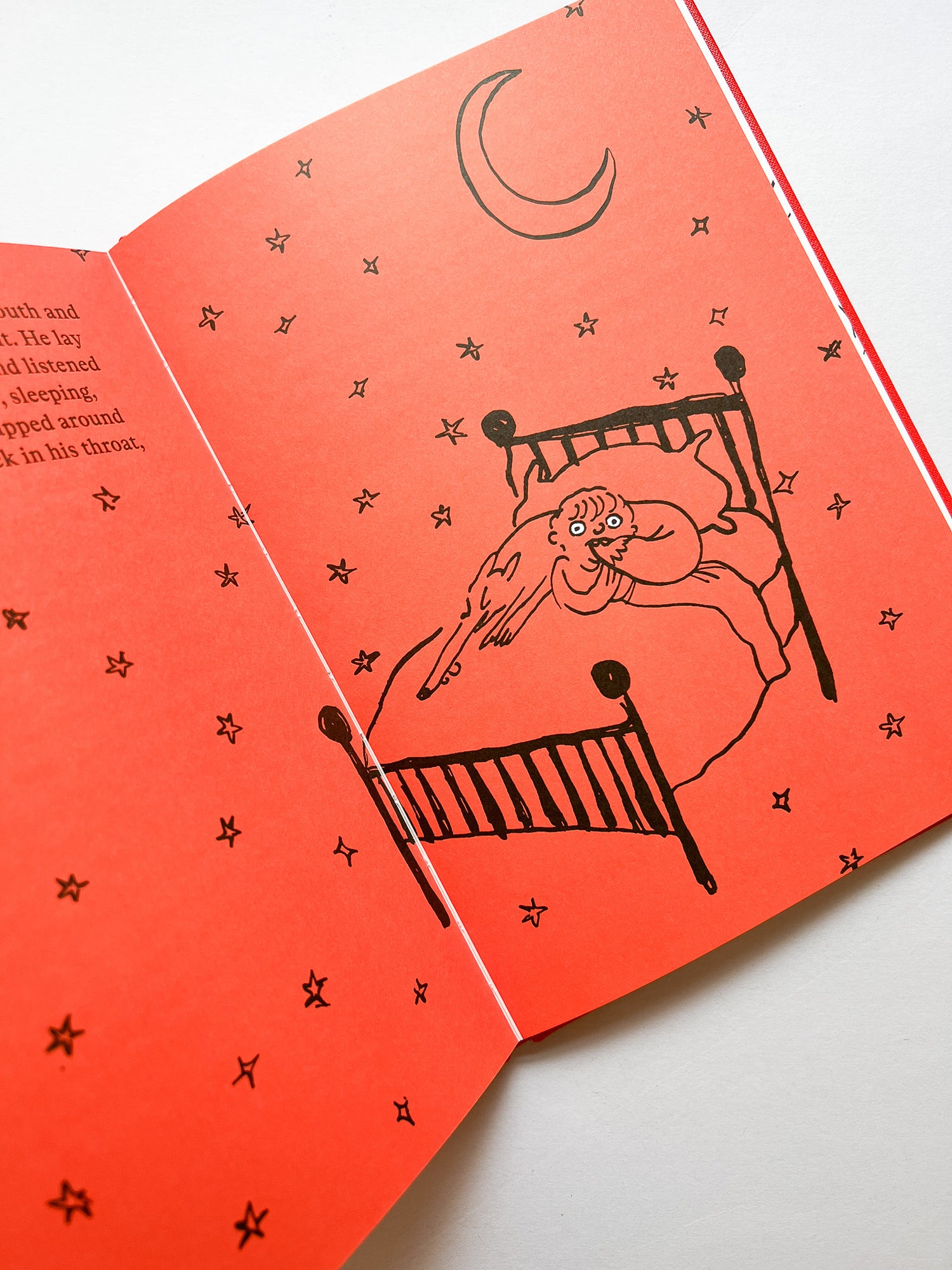 Otto: A tale of a boy and a tail