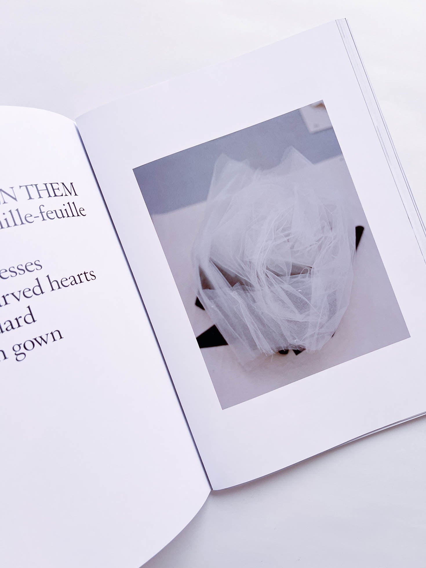 STUDY MAGAZINE VOLUME 12