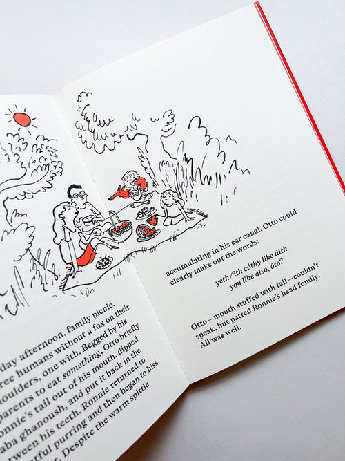 Otto: A tale of a boy and a tail