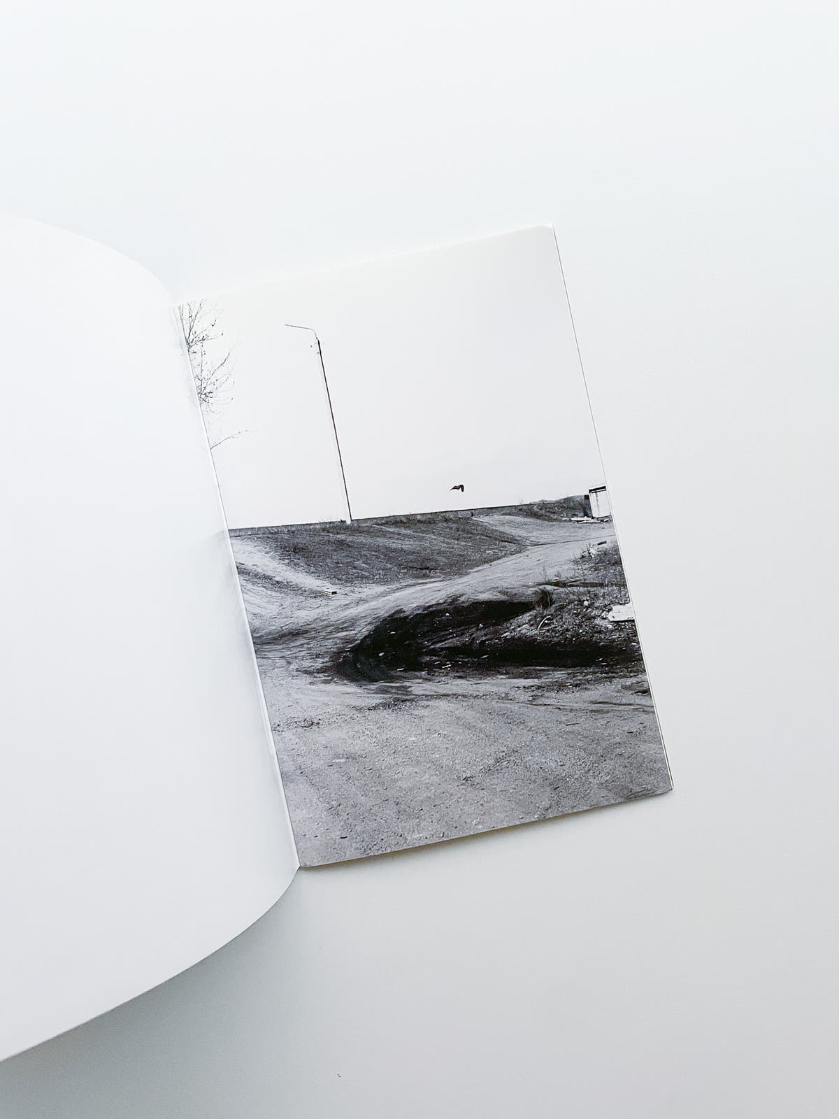 A Day in the Life of... / Ola Rindal