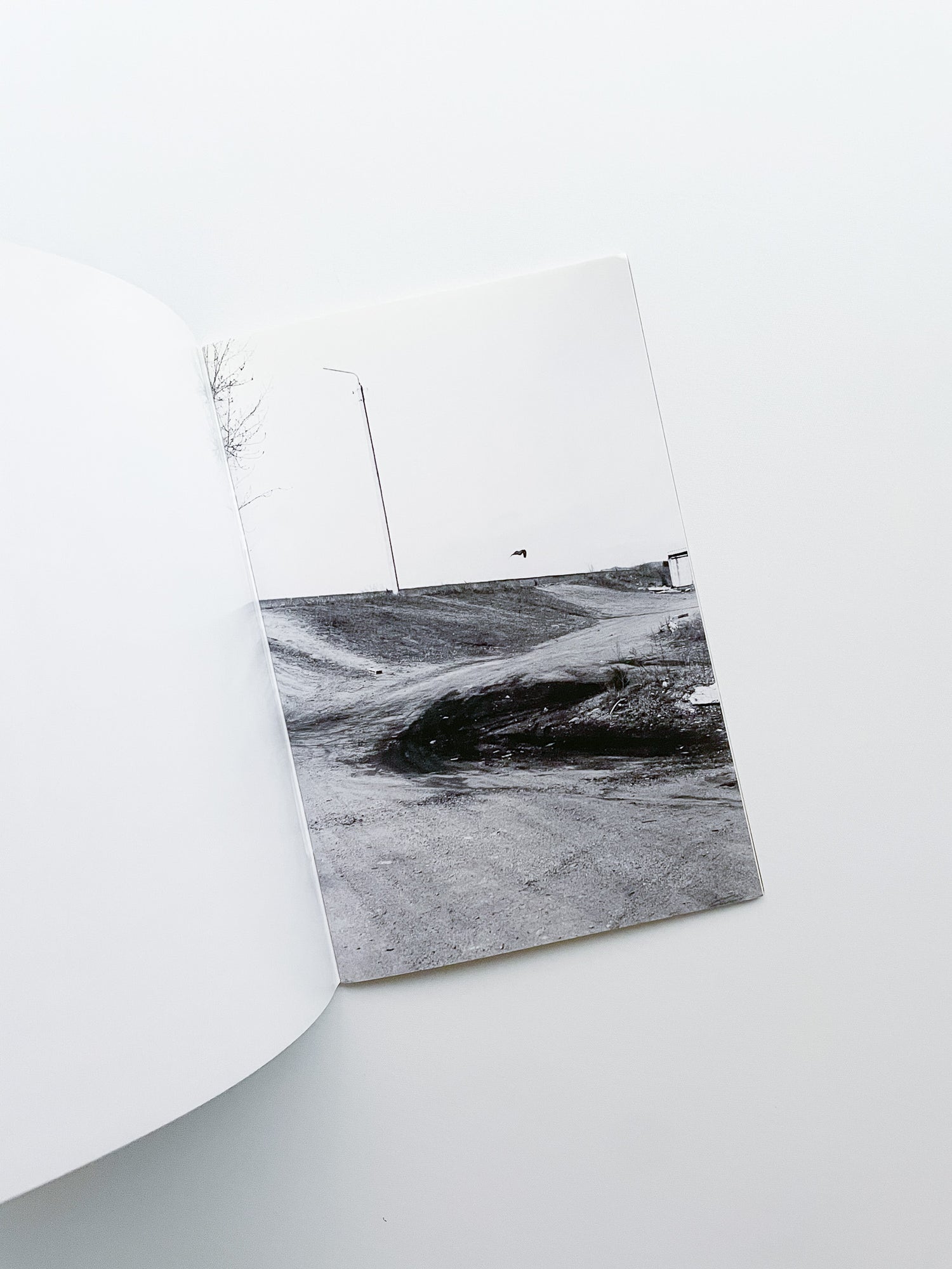 A Day in the Life of... / Ola Rindal