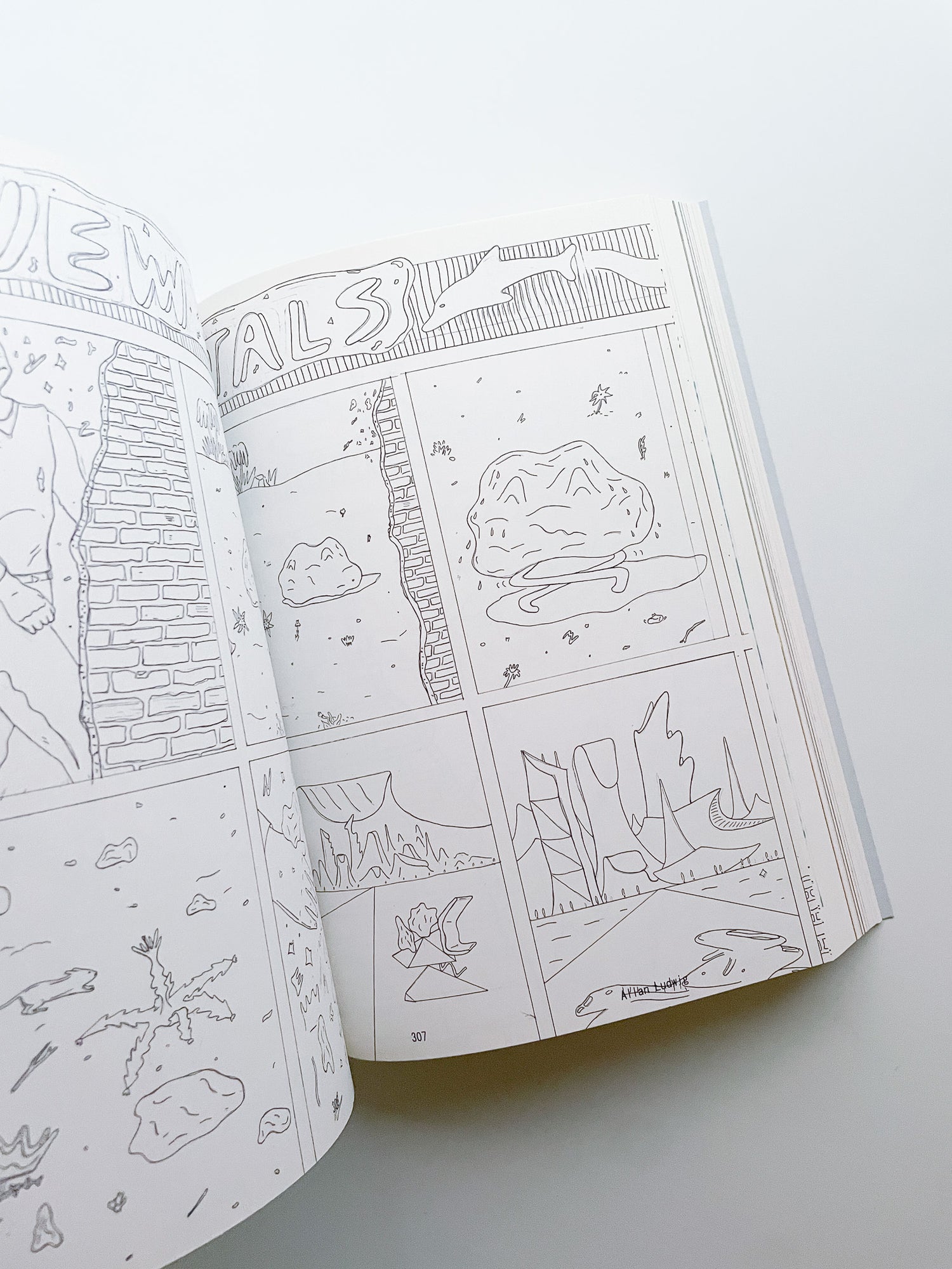 Shoplifters Issue 9: DRAWINGS