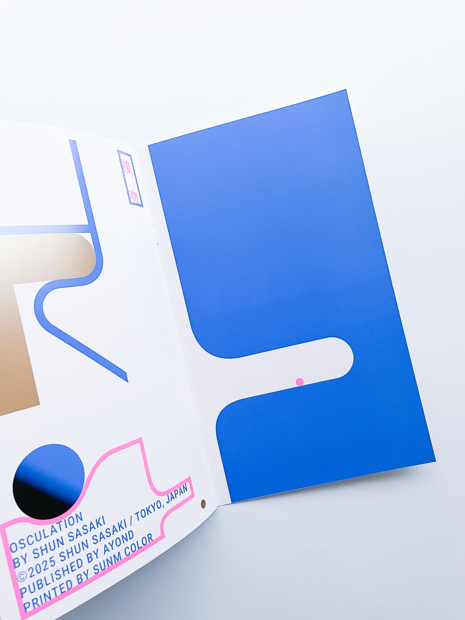 OSCULATION ZINE / Shun Sasaki - 本屋青旗 Ao-Hata Bookstore