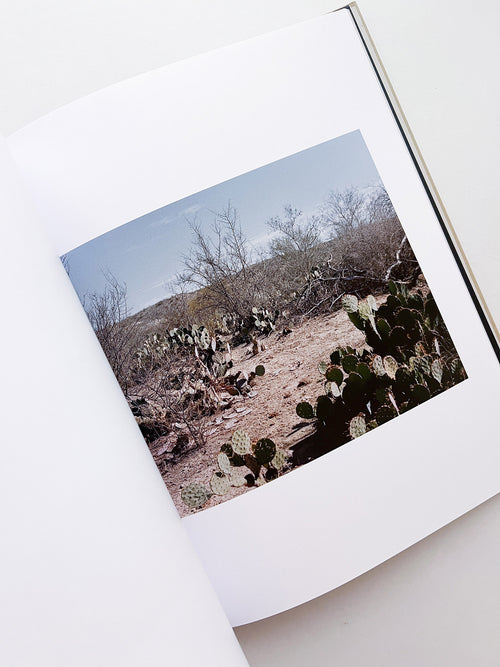 BRAVO / Felipe Romero Beltrán