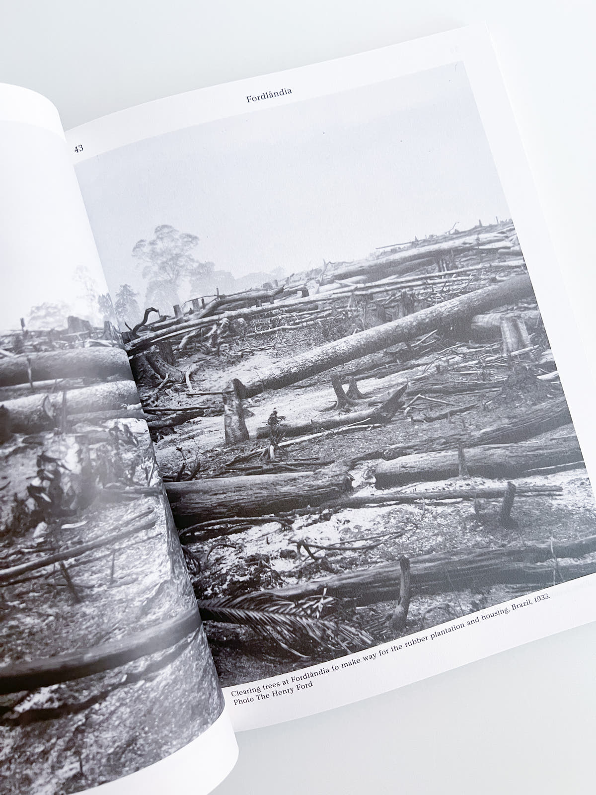 MacGuffin 12: The Log