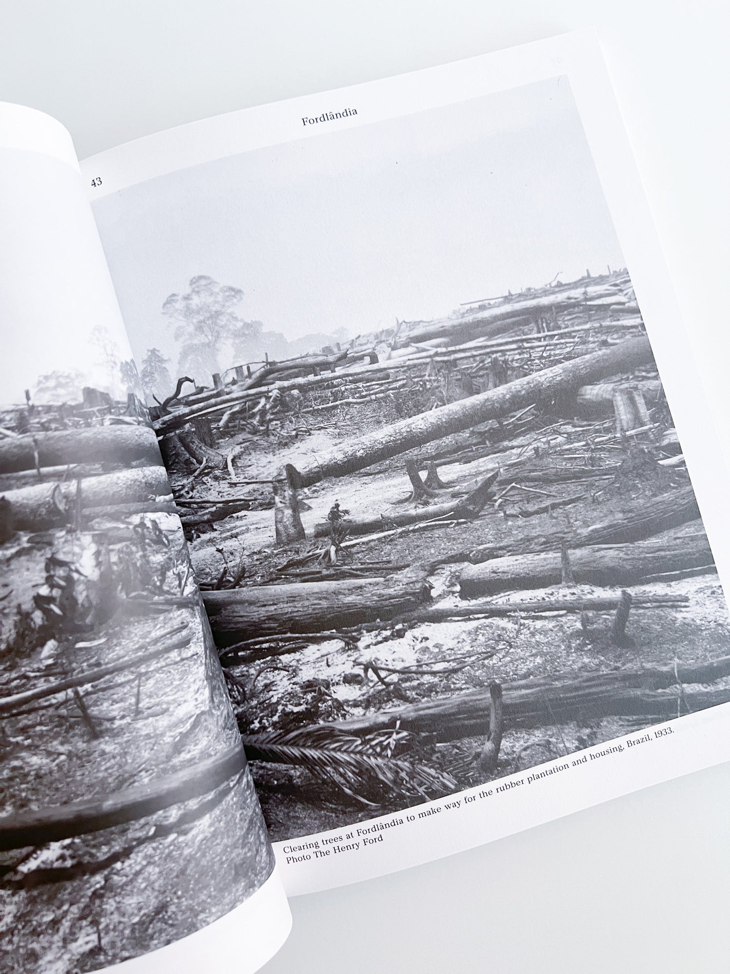 MacGuffin 12: The Log