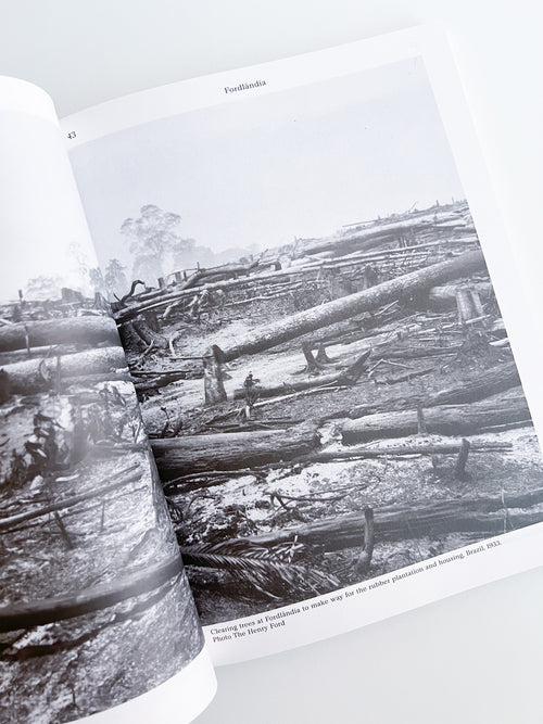 MacGuffin 12: The Log