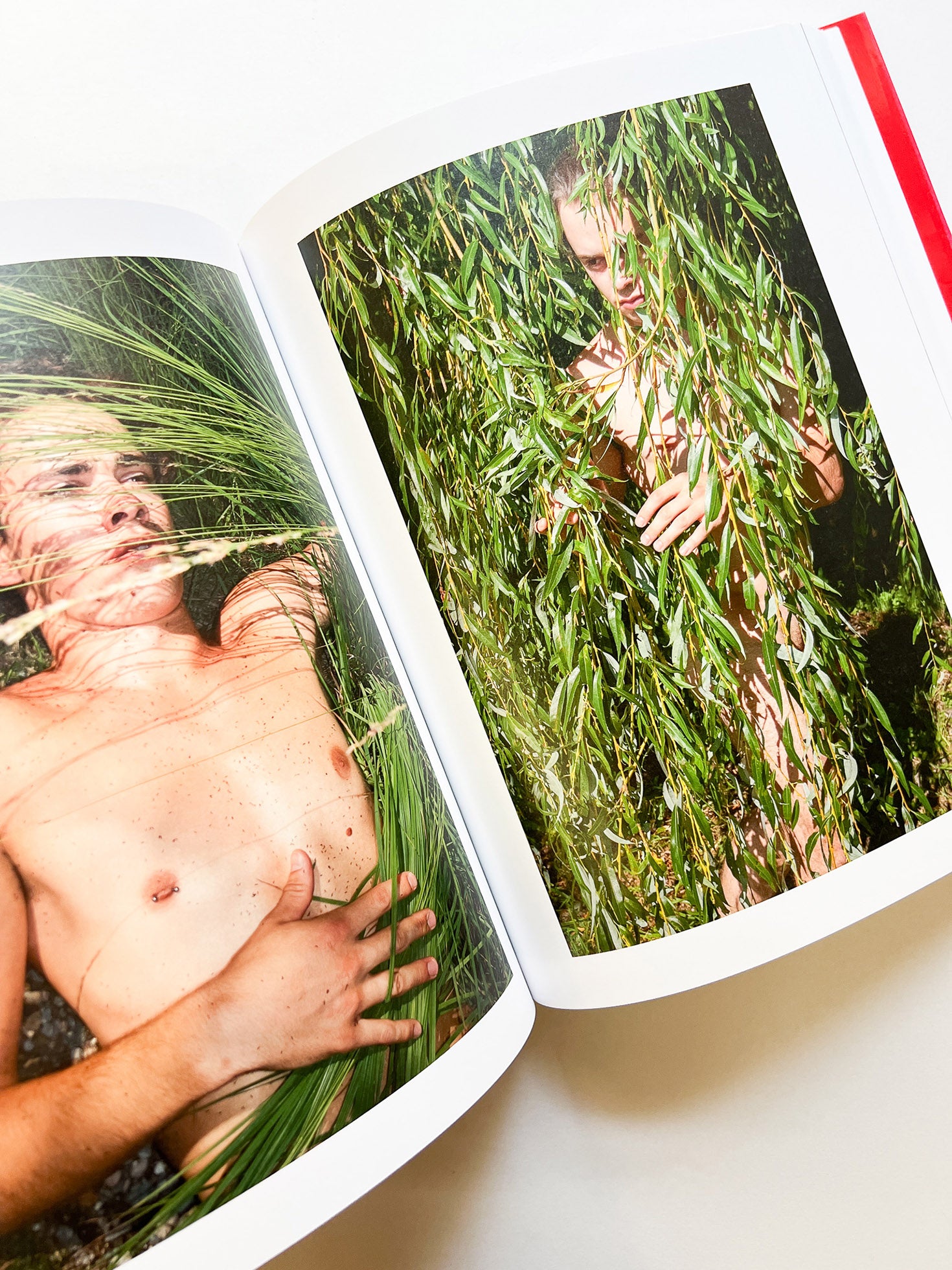 Chez Walti Photographs 2000–2022 / Walter Pfeiffer