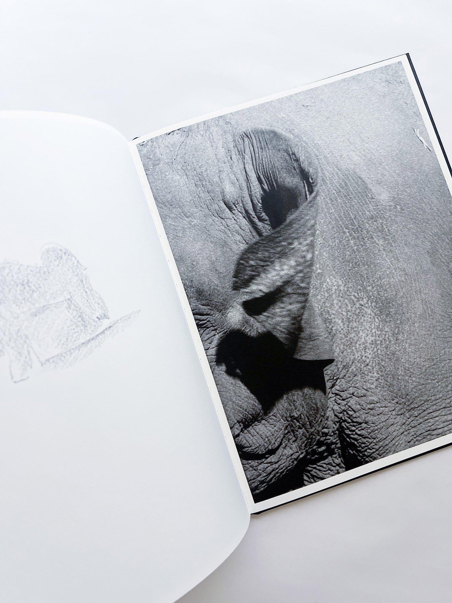 Entendue / Charlotte Dumas - 本屋青旗 Ao-Hata Bookstore