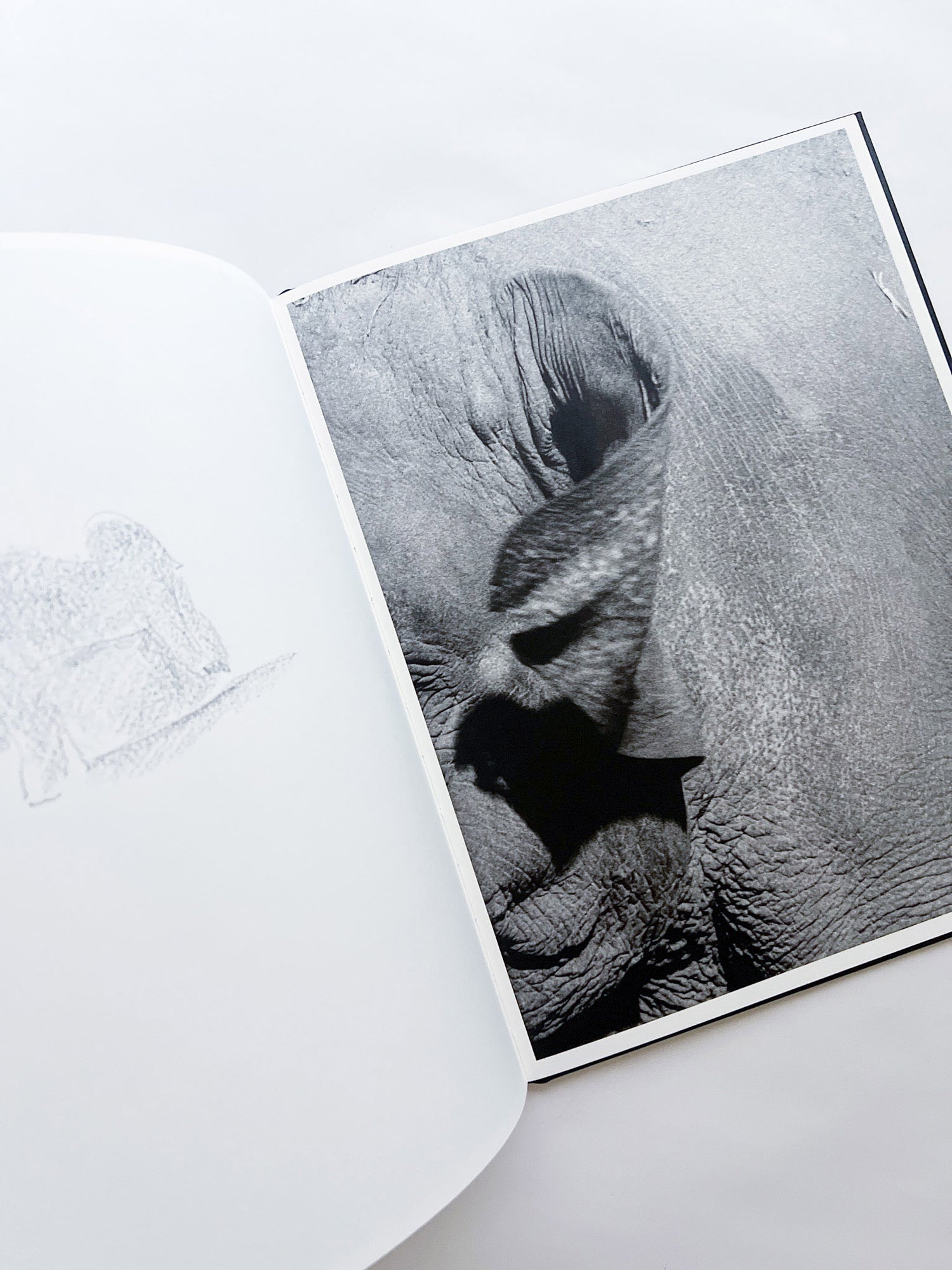 Entendue / Charlotte Dumas