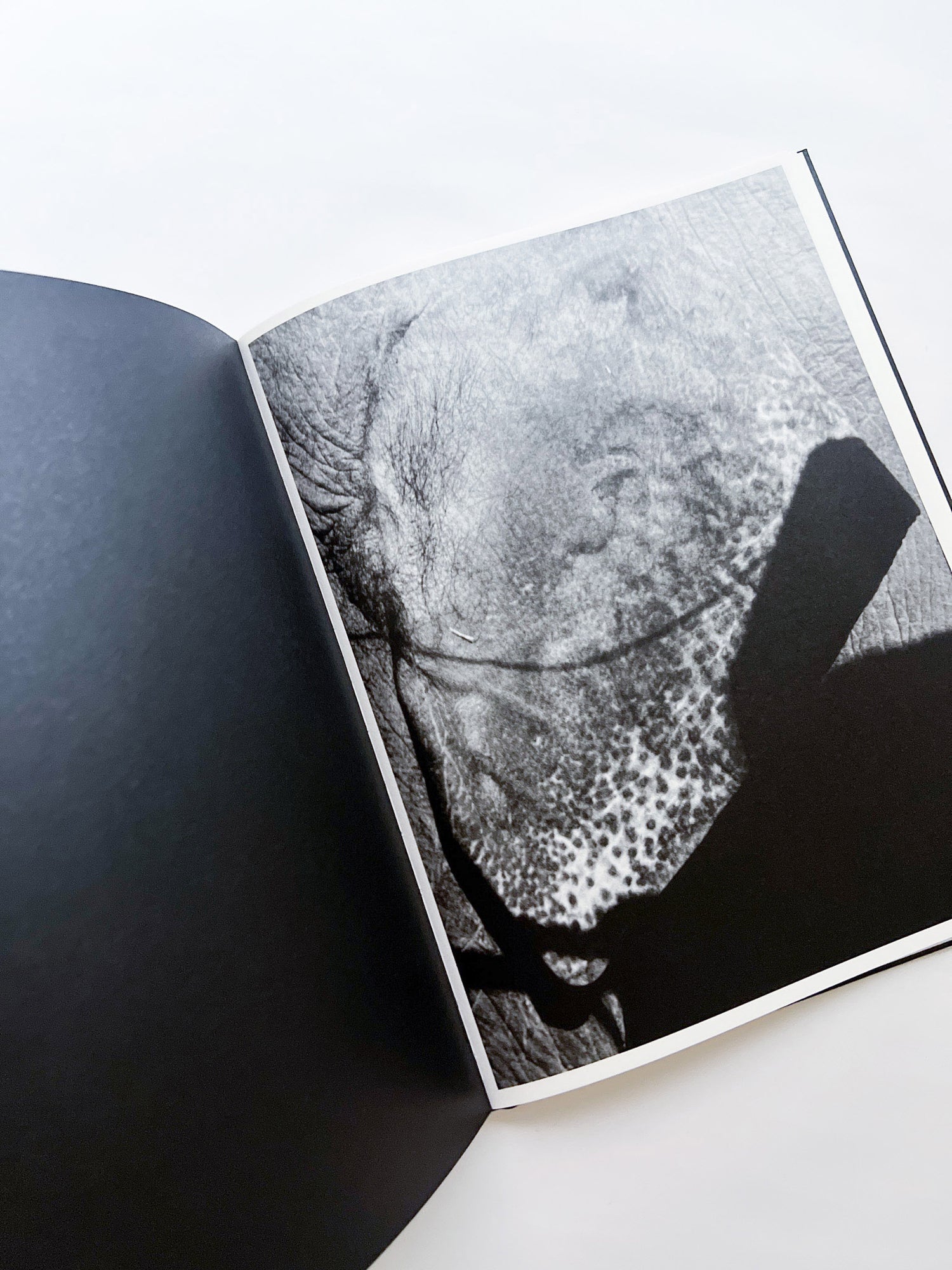 Entendue / Charlotte Dumas