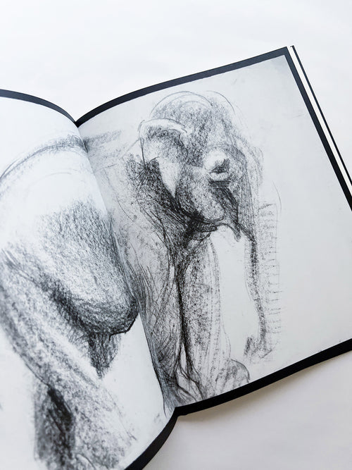 Entendue / Charlotte Dumas