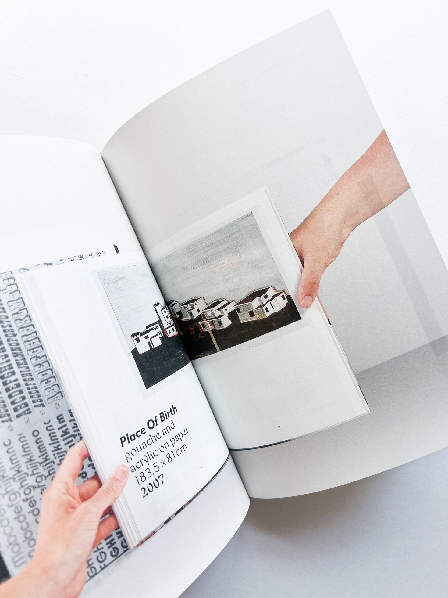 The Best Dutch Book Design 2009