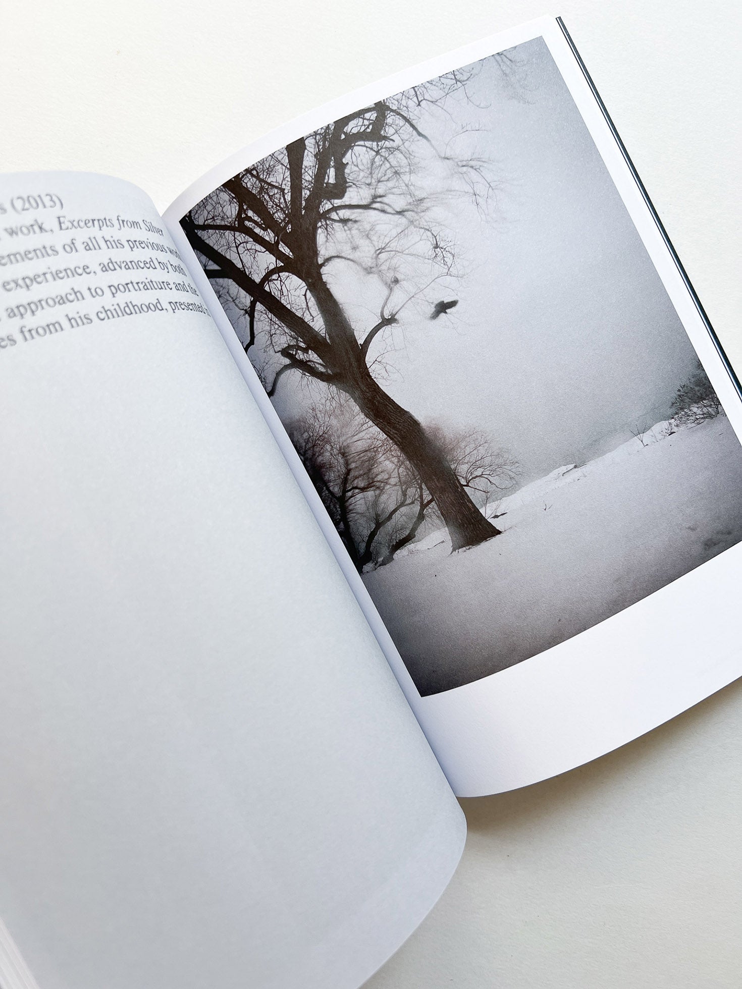 Hotshoe magazine Issue 210: Todd Hido