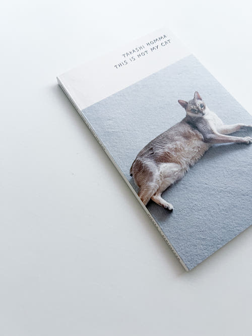 This Is Not My Cat / Takashi Homma [Signed]