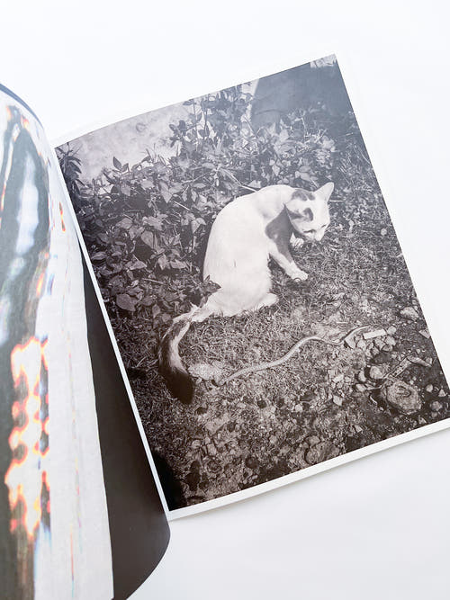 Ripples in the Pond / Bharat Sikka