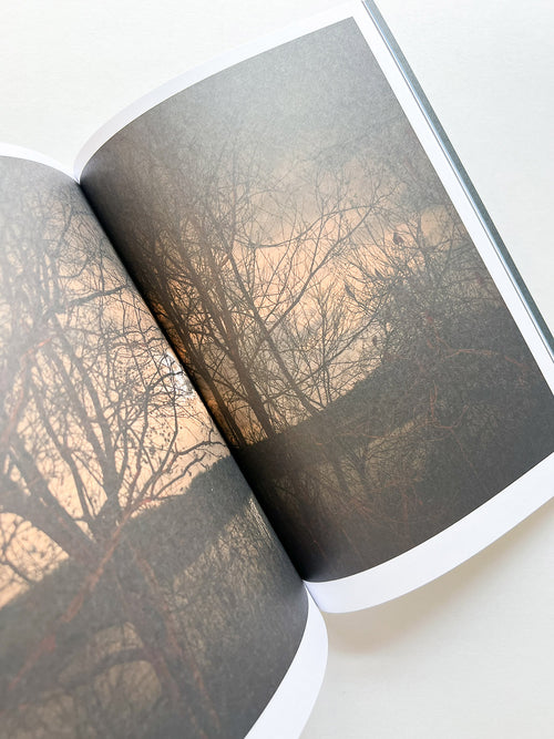 Hotshoe magazine Issue 210: Todd Hido