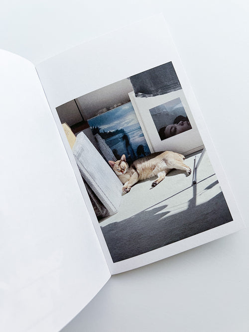 This Is Not My Cat / Takashi Homma [Signed]