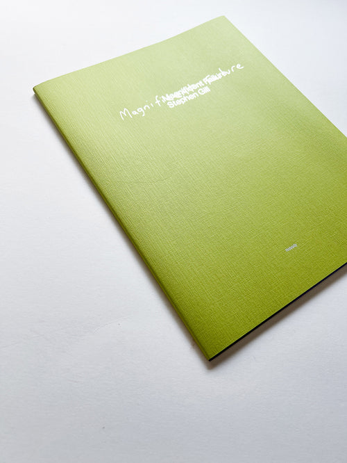 Magnificent Failure / Stephen Gill